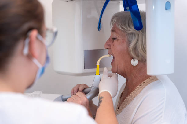 Best Emergency X-Rays and Diagnostics in Union City, MI